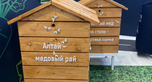 На Международной выставке-форуме «Россия» гости заинтересовались фотозоной с ульями. 