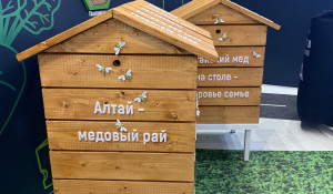 На Международной выставке-форуме «Россия» гости заинтересовались фотозоной с ульями. 