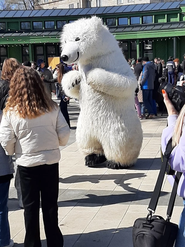 Собачий модный приговор в Барнауле. 