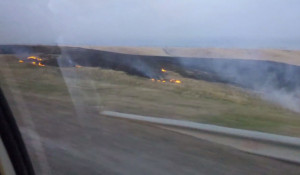 В Алтайском крае горят поля. 