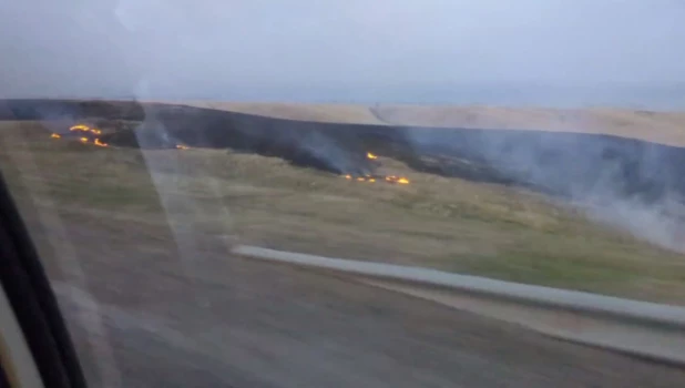 В Алтайском крае горят поля. 