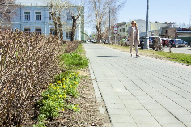 В Барнауле расцвели почки. 