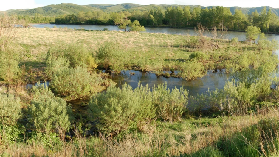 Родник Горный ключ в Краснощековском районе.