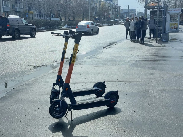 Апрельский снегопад - 2024. 