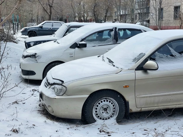 Апрельский снегопад - 2024. 