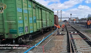 В Алтайском крае грузовой вагон сошел с рельсов.