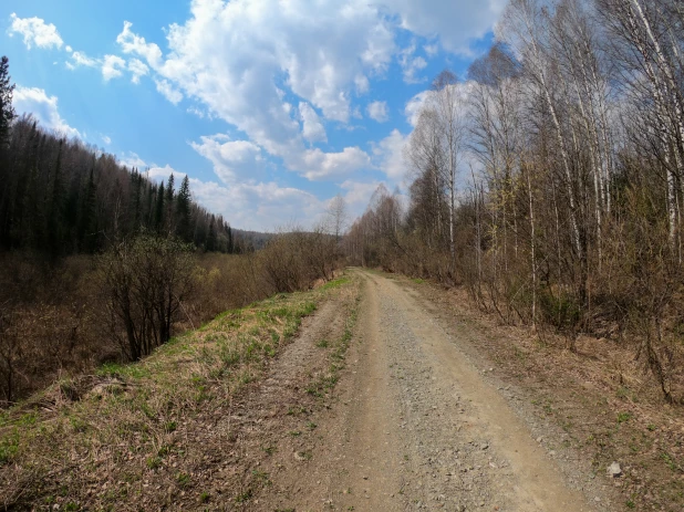 Нацпарк «Салаир».