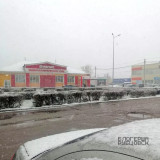Фотографиями майского снегопада делятся жители Алтайского края 
