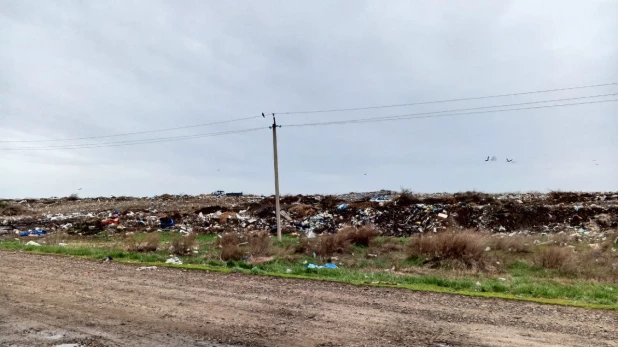 Полигон в Романово, расположенный в 1 км от райцентра.