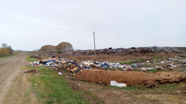 Полигон в Романово, расположенный в 1 км от райцентра.