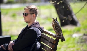 «Бал Победы» в Изумрудном парке.