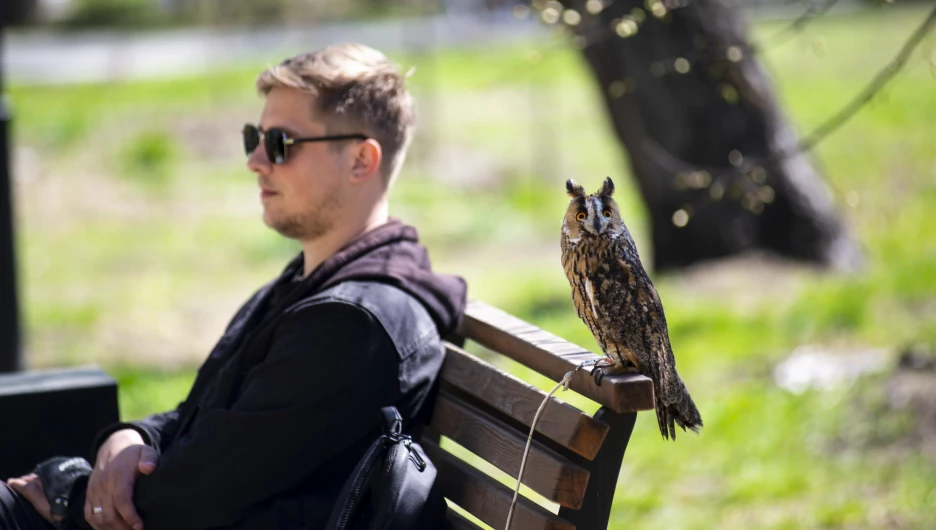 «Бал Победы» в Изумрудном парке.