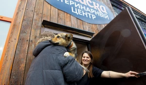 Открытие ветеринарного центра при приюте «Ласка».