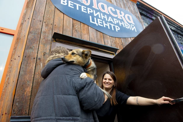 Открытие ветеринарного центра при приюте «Ласка».