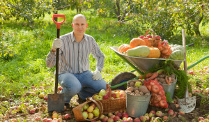 Мужчина с собранным урожаем овощей и фруктов.