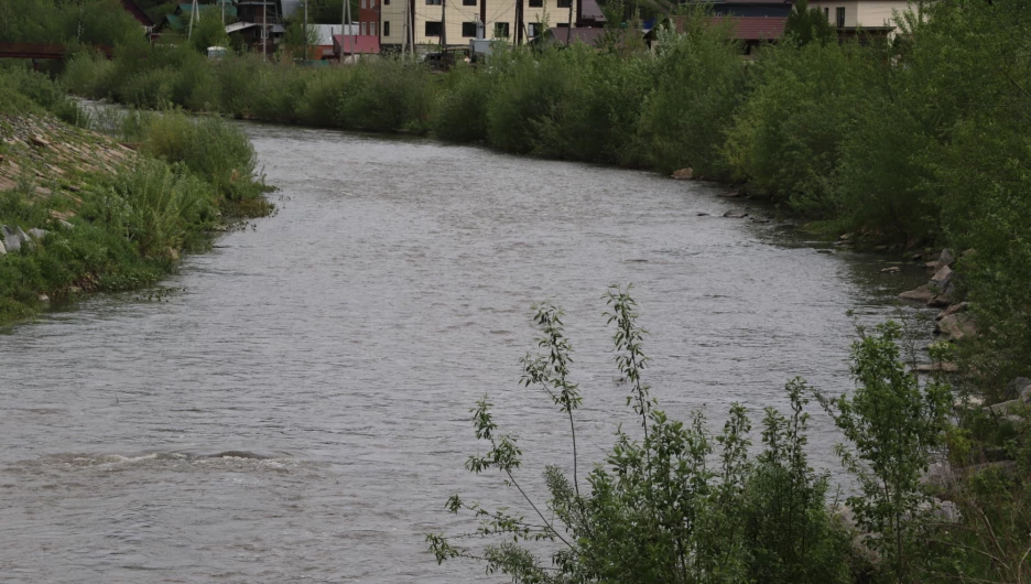 Резкий подъем уровня воды в реках Республики Алтай грозит подтоплением