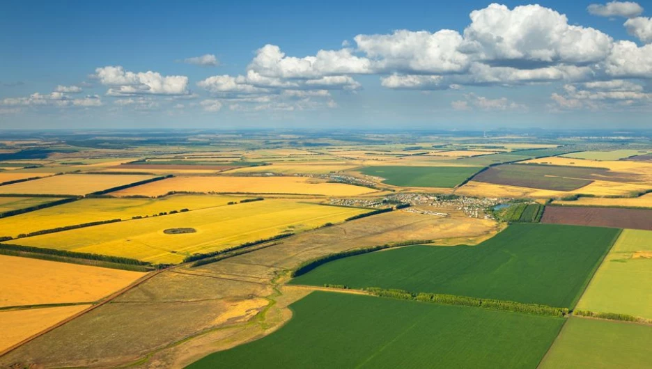 Россельхозбанк увеличил поддержку аграриев Алтая на 71%.