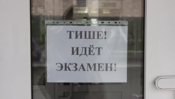 ЕГЭ по литературе в барнаульском лицее №101