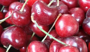 Яркую черешню и спелые персики заметили на барнаульском рынке. 