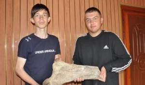 В Алтайском крае школьника нашли останки мамонта. 