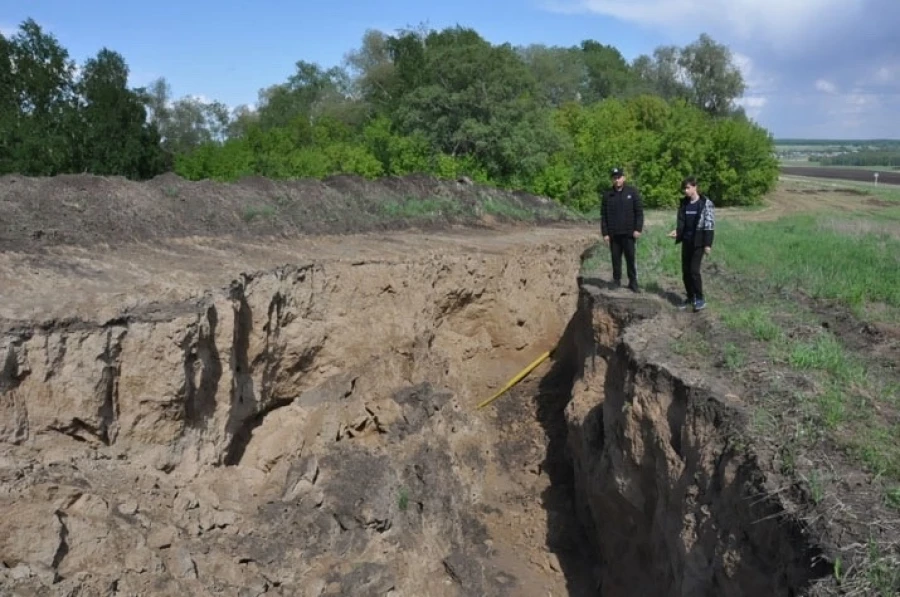 В Алтайском крае школьника нашли останки мамонта. 