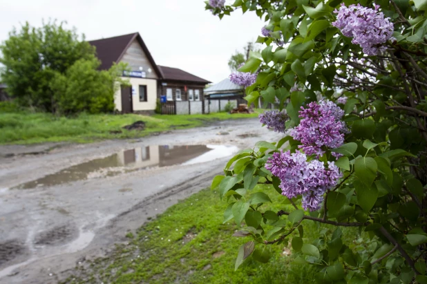 Село Шадрино.