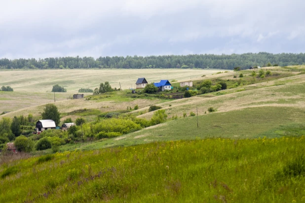 Село Шадрино.