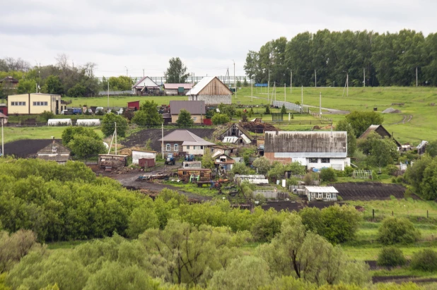 Село Шадрино.