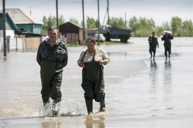 Паводок в Алтайском крае, 2014 год.