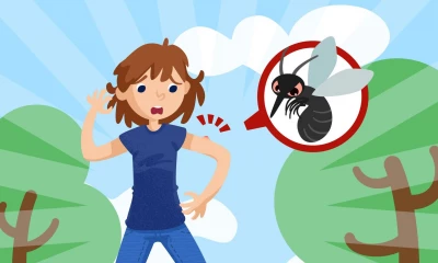 Как справиться с укусами комаров и мошек и чем они могут быть опасны