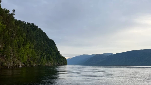 Телецкое озеро в 2024 году.