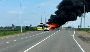 В Алтайском крае на трассе загорелся автобус.