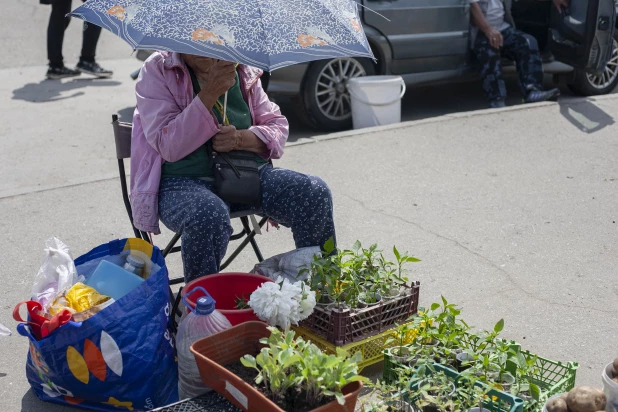 Продажа пионов на площади Спартака.