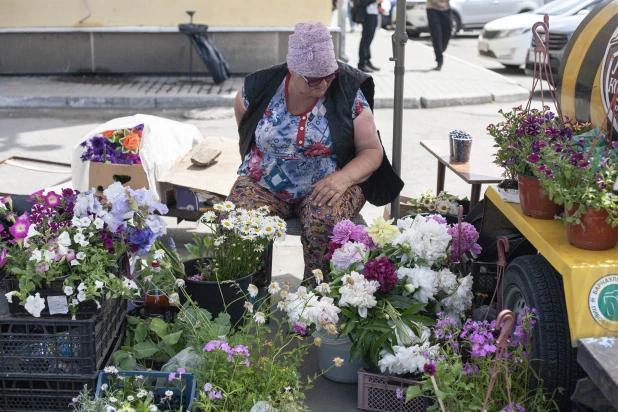 Продажа пионов на площади Спартака.