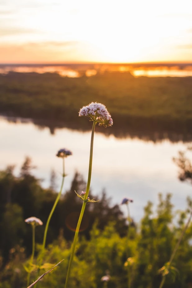 Природа у Научного городка.