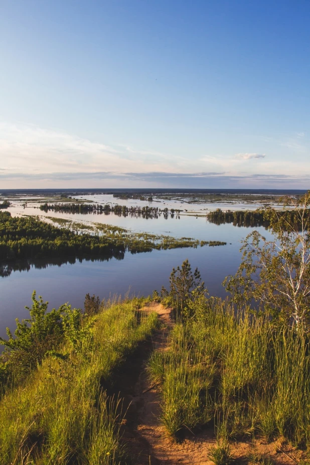 Природа у Научного городка.