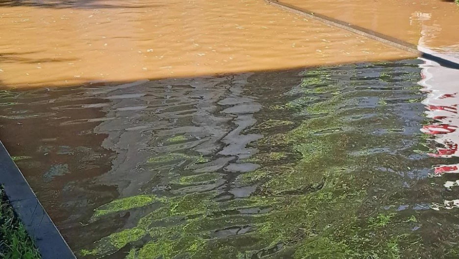 В Бийске по улицам разлилась вода