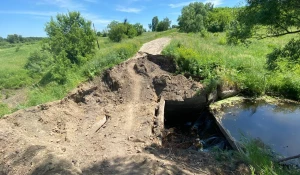 Жители Алтайского края обеспокоены состоянием дамбы. 