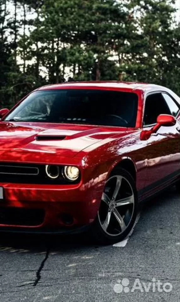 Dodge Challenger 2019 года выпуска. 