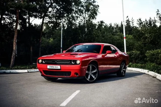 Dodge Challenger 2019 года выпуска. 