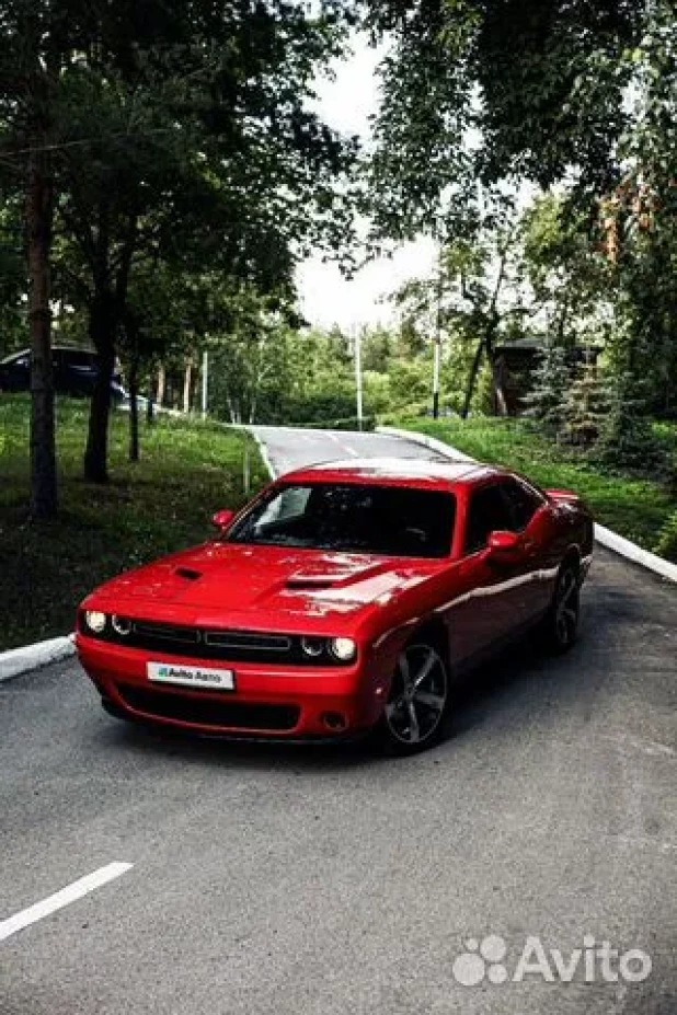 Dodge Challenger 2019 года выпуска. 