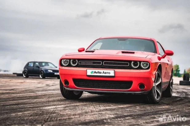 Dodge Challenger 2019 года выпуска. 