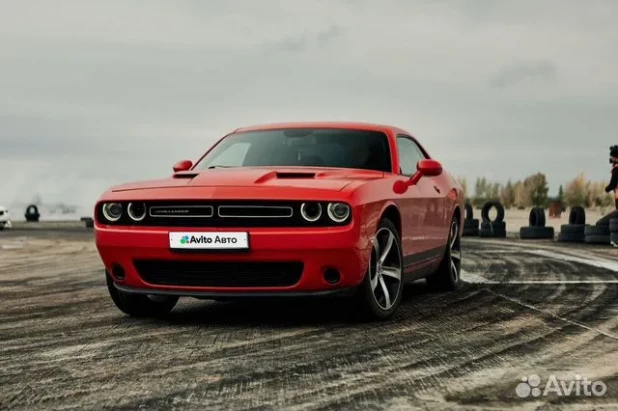 Dodge Challenger 2019 года выпуска. 