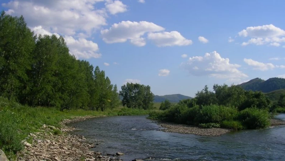 В Алтайском крае с начала лета утонуло пять детей. Меры предосторожности на воде