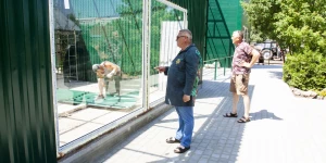 Строительство новых вольеров в Барнаульском зоопарке. Июнь 2024.