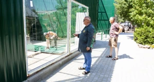 Строительство новых вольеров в Барнаульском зоопарке. Июнь 2024.