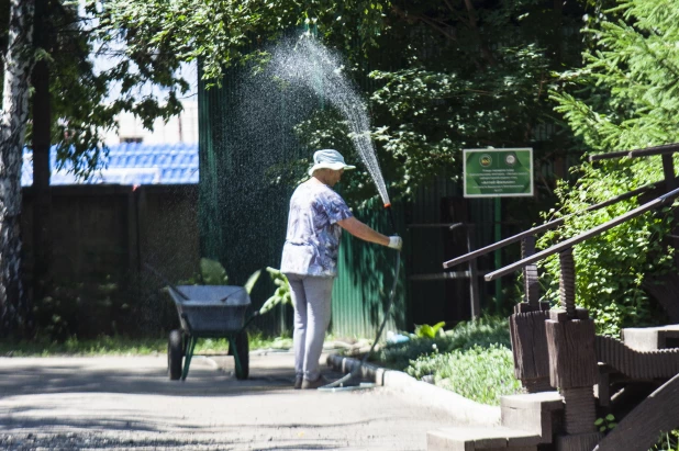 Как в Барнаульском зоопарке защищают животных от жары. Июнь 2024.