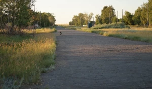 Село Райгород, Алтайский край, 2020 год.