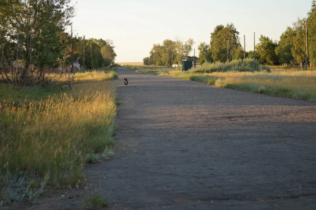 Село Райгород, Алтайский край, 2020 год.