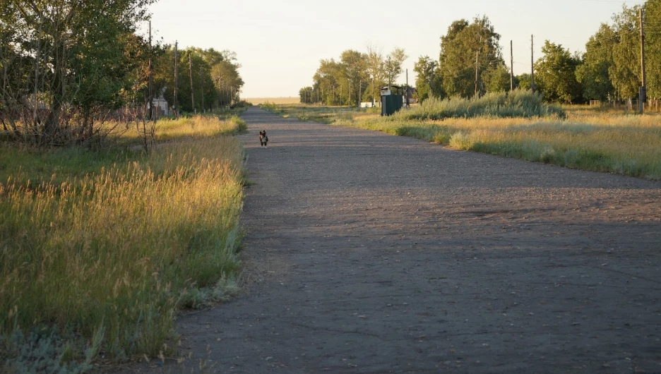 Село Райгород, Алтайский край, 2020 год.